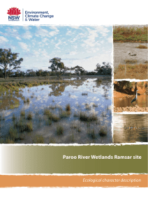 Paroo River Wetlands Ramsar site: Ecological character description
