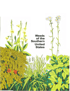 Weeds of the Southern US