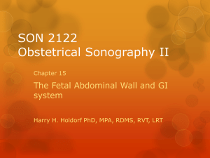 DMSM 117 Obstetrical Sonography II
