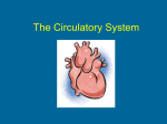 The Circulatory System - Madison County Schools