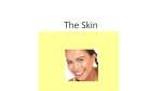 The Skin