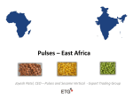 Pulses – East Africa