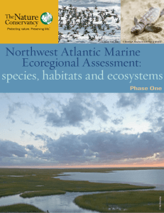 species, habitats and ecosystems
