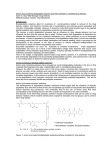 Amino acid containing degradable polymers and their