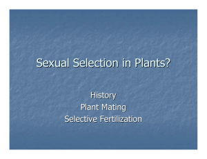 Sexual Selection in Plants?