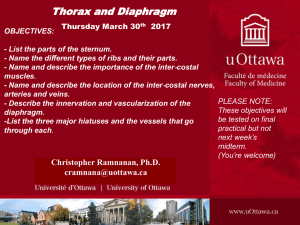 2017 Thorax and Diaphragm STUDENT w checklist