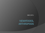 matodes and Arthropods