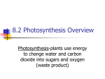 8.2 Photosynthesis Overview