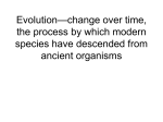 Darwin`s Theory of Evolution