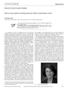 Discovering spatial working memory fields in prefrontal cortex