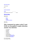 Mice transgenic for equine cyclin T1 and ELR1 are susceptible to