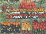 Vitamins, Minerals, and Water* Oh My!