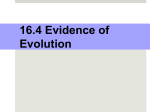 16.4 – Evidence of Evolution 16.4 – Evidence of Evolution