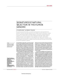 SIGNATURES OF NATURAL SELECTION IN THE HUMAN GENOME