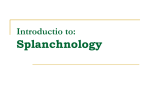 Introductio to Splanchnology