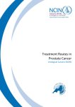 Main treatment routes for patients diagnosed with a prostate cancer