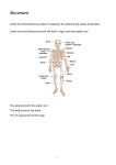 Body In Action Notes