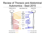 Review of Thoracic and Abdominal Autonomics