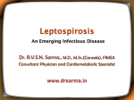 Leptospirosis by Dr Sarma