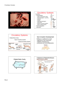 Circulatory Systems Circulatory Systems
