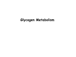 Glycogen Metabolism USP