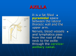 AXILLA2008-10-30 15:064.1 MB