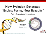 How Evolution Generates “Endless Forms, Most Beautiful”