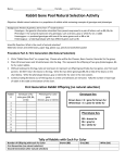 Rabbit Gene Pool Natural Selection Activity