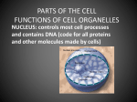 PARTS OF THE CELL CELL ORGANELLES