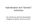 Hybridization and “Genetic” Extinction