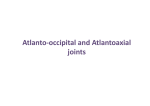 Atlanto-occipital and Atlantoaxial joints