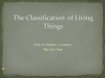 The Classification of Living Things