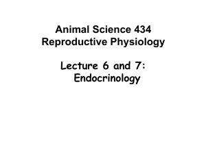 Endocrinology of reproduction I (Lecture 6 and 7 combined)