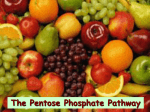 21_Pentose phosphate pathway of carbohydrates metabolism