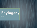 I. Phylogeny : evolutionary history