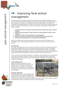 Improving feral animal management - Queensland Murray
