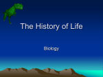 The History of Life