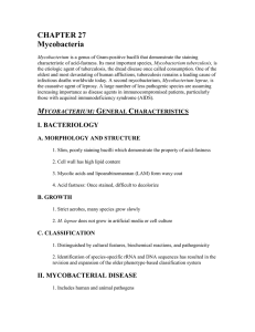 CHAPTER 27 Mycobacteria