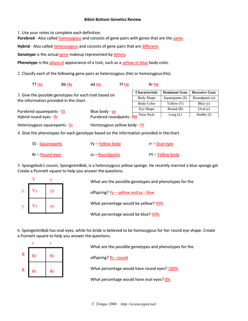 Pull off spongebob genetics answer key the study, which was published in th...