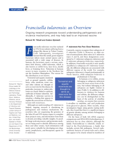 Francisella tularensis: an Overview