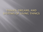 Tissues, Organs, and Systems of Living Things