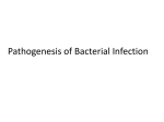 Pathogensis of Bacterial Infection