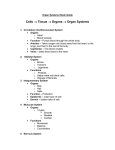 Organ Systems Study Guide