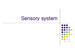 Sensory system