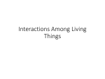 Interactions Among Living Things