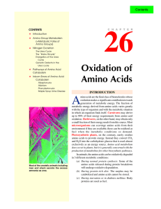 26. oxidation of amino acids