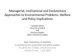 Managerial, Institutional and Evolutionary Approaches to