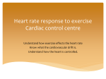 Heart rate response to exercise Cardiac control centre