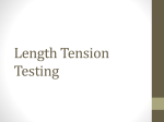 Length Tension Testing - Caitlin ivany e