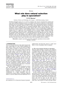 What role does natural selection play in speciation?